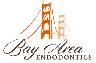 Link to Bay Area Endodontics home page